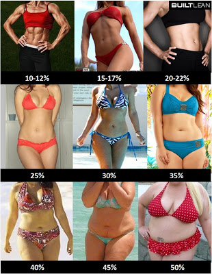 体脂肪率・女性