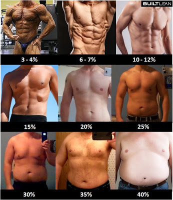 体脂肪率・男性